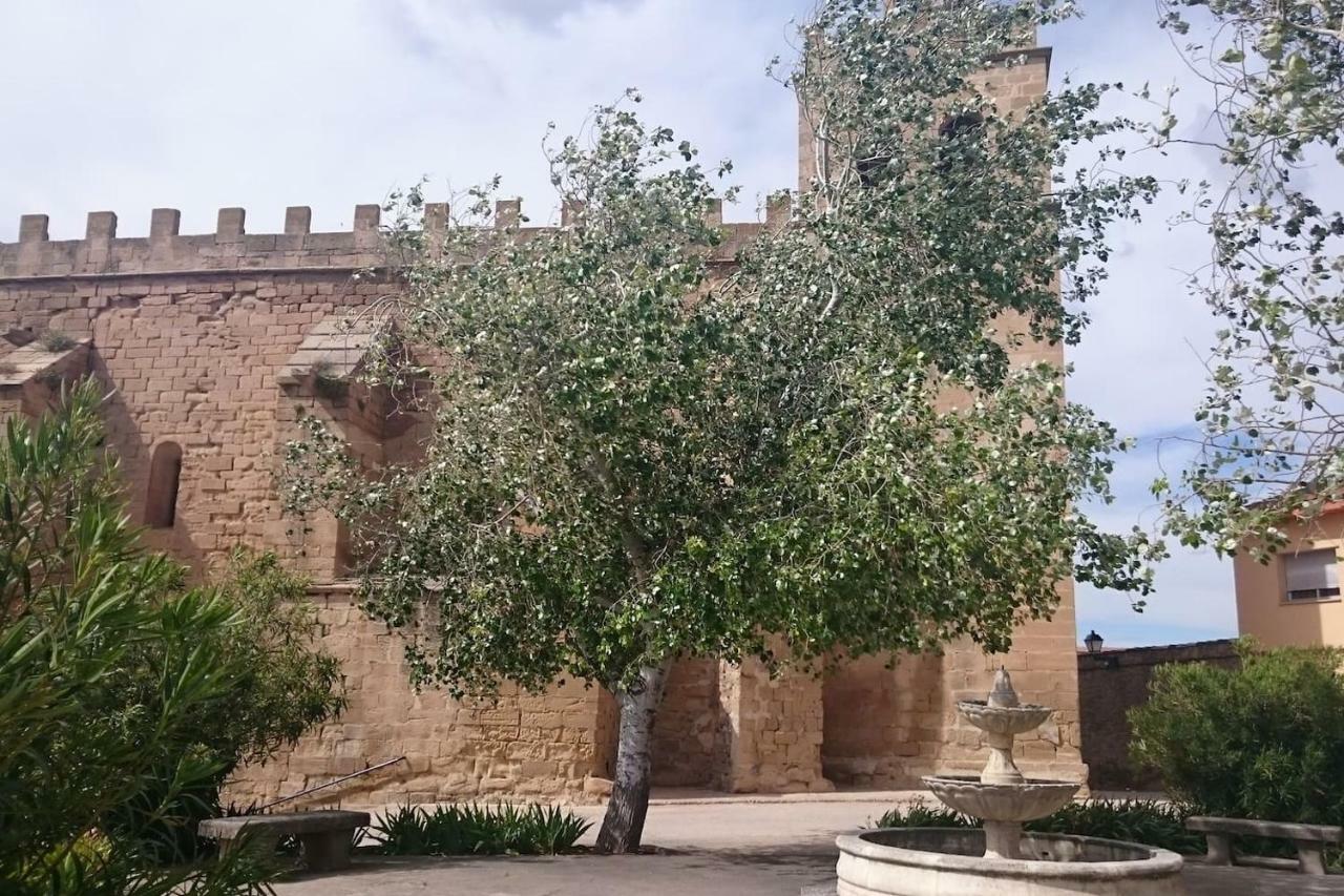 La Gatera 1D Bajo Aragon - Matarrana Apartman Fabara Kültér fotó